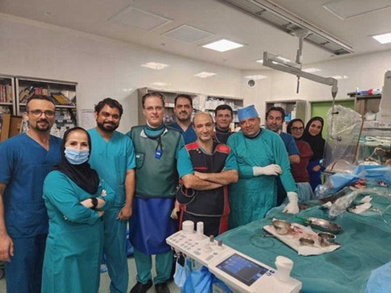 Non-invasive (endovascular) heart valve implantation for 6 different patients in Tehran Heart Center